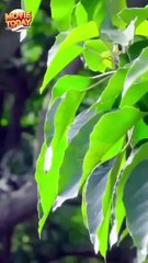 Fate Gave Us Another Shot