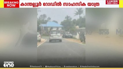ഇടുക്കിയിൽ തുടർക്കഥയായി വിനോദസഞ്ചാരികളുടെ സാഹസിക യാത്ര; കൂടുതൽ ദൃശ്യങ്ങൾ പുറത്ത്