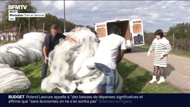 Tarn-et-Garonne: les arboriculteurs donnent leur filet anti-grêle pour en faire des protections contre les drones en Ukraine