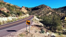 Driving Safe, Driving Smart: Car Insurance Essentials on the Road 🚗💨