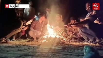 સર્વર બન્યું અડચણ, ભેંકરા ગામે મોડી રાત્રે પણ કૃષિ સહાય ફોર્મ ભરવા વાટ જોતા ખેડૂતો