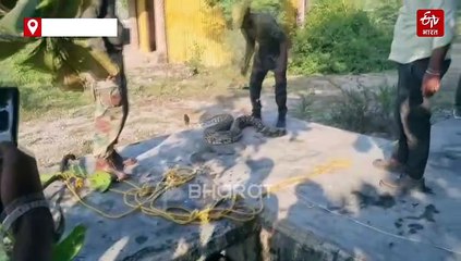 इस कुएं में से एक साथ निकले 5 अजगर..जानिए फिर क्या हुआ