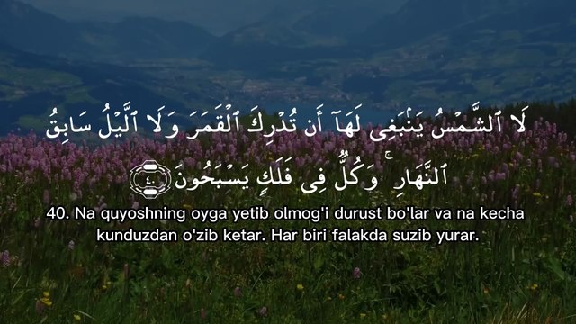 Yasin surasi (Ясин) Shayx Mishary Rashid Alafasy #yasin #quran