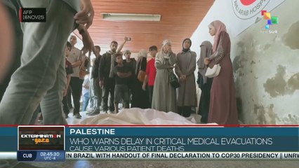 Palestine: WHO warns delay in critical medical evacuations cause various patient deaths