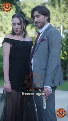 A Mistaken Baby With The Mafia Enemy (2025)