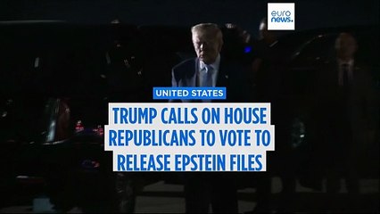 Trump calls on House Republicans to vote to release Epstein files