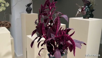 The Flower Requiem Whistling Vases alla Fondazione Elpis