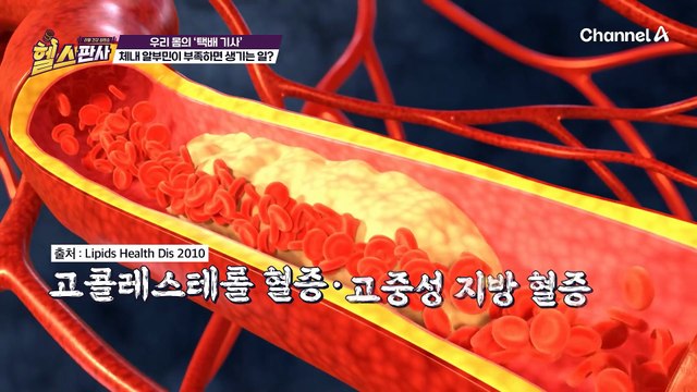 건강이 안 좋을수록 알부민을 잘 챙겨야 한다? 체내 알부민이 부족하면 이렇게 됩니다!