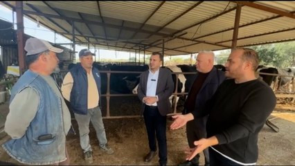 CHP'li Başevirgen Manisa’da besicileri dinledi: Yüksek girdi maliyetleri hayvancılığı bırakma noktasına getirdi