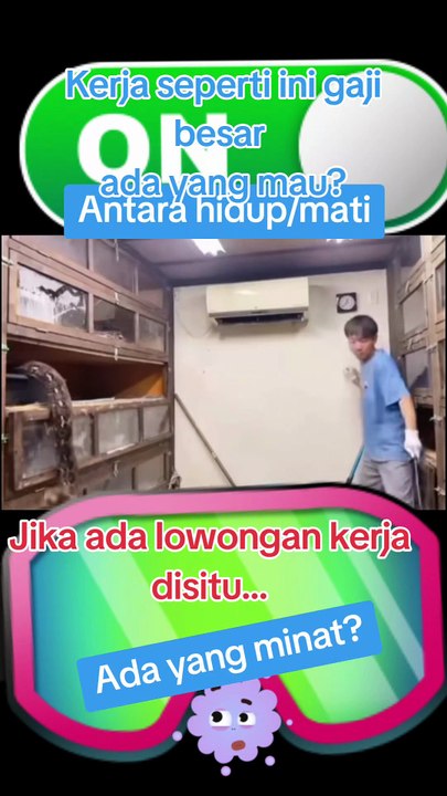 Video lucu