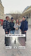 Trouve la bonne réponse #quiz #microtrottoir #sophie