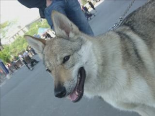 Paris Sera toujours Paris