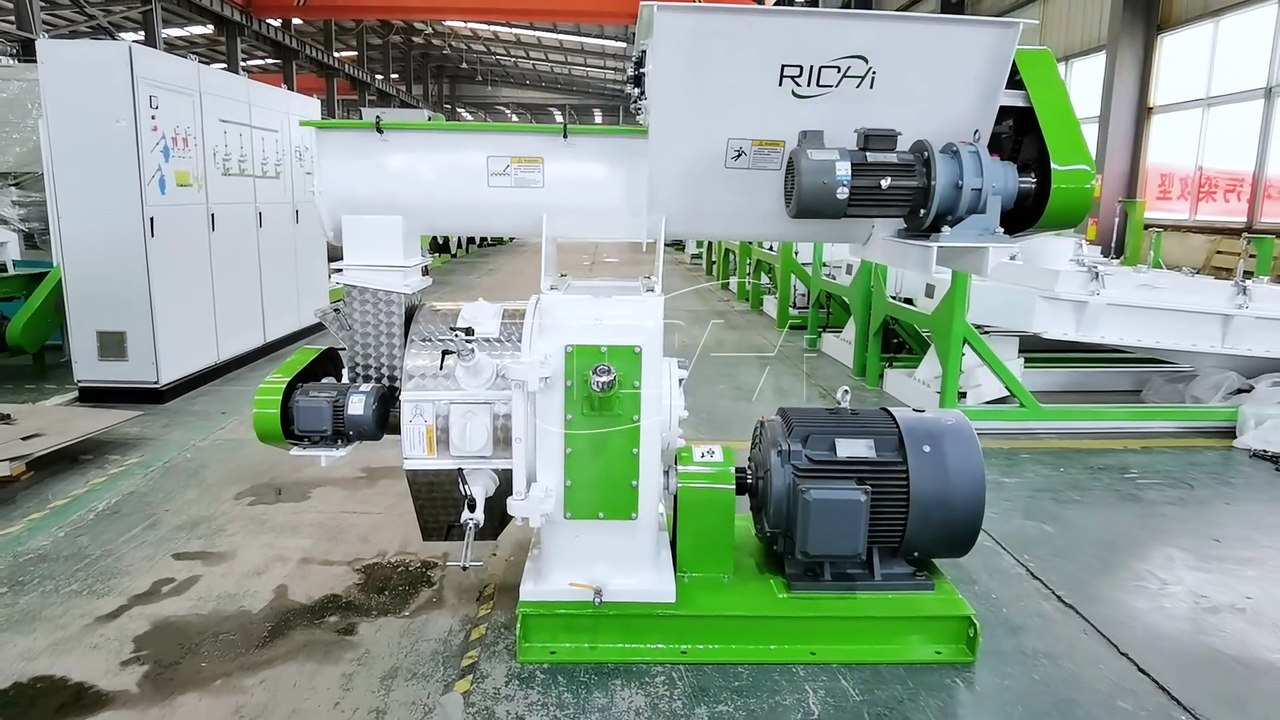 Wood Pellet Machine Details Display | Ring Die, Rollers & Gearbox Structure