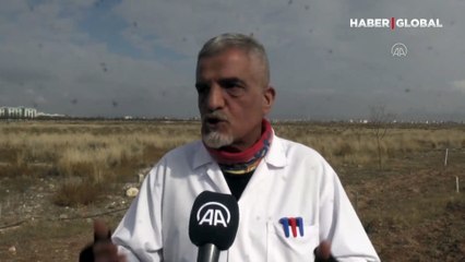 Tuz Gölü'nde büyük tehlike: Su alanı yüzde 10 seviyelerine kadar düştü