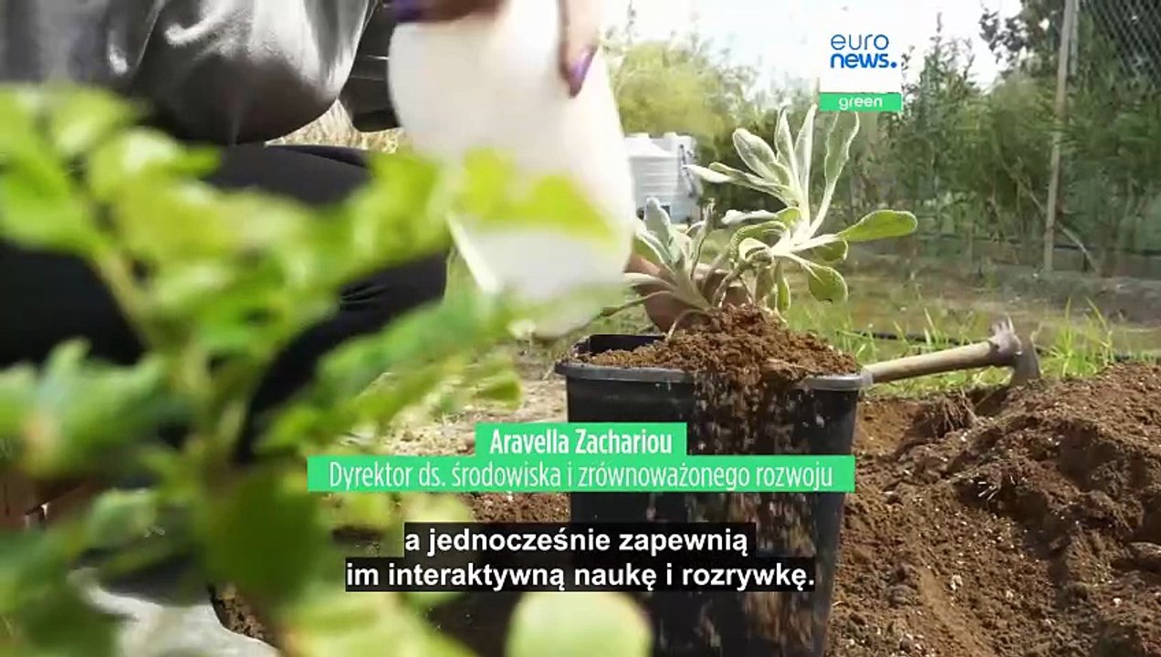 Zielone enklawy na Cyprze: szkoły angażują uczn...