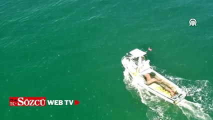 Balık avlayan yunus dronla görüntülendi