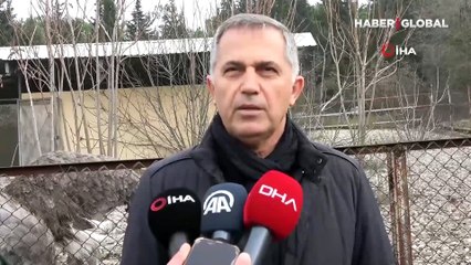 Sıcak hava onları da şaşırttı: Kışın yumurtlamaları uzmanları şoke etti!