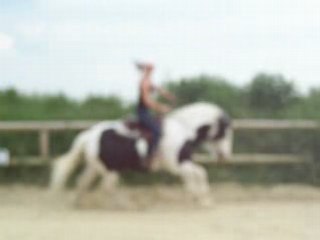 limoun first coups de culs!