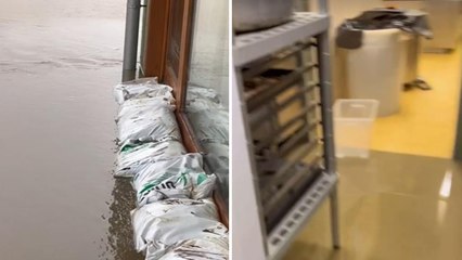 Il video della chef Antonia Klugmann: il ristorante allagato dopo l'ondata di maltempo a Gorizia