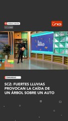 Las intensas lluvias registradas en las últimas horas provocaron la caída de un árbol que terminó impactando directamente sobre un vehículo
