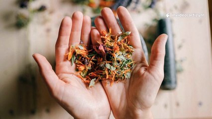 Artizynt Kapseln – Natürliche Kraft für Gelenke & Beweglichkeit