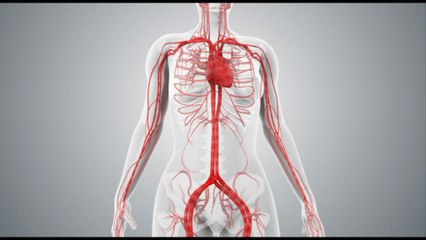 Salute, un libro bianco per combattere la malattia rara Egpa