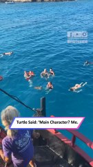 She Was Swimming with Turtles… Until One Got Too Friendly!|| Heartsome 💖