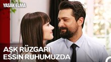 2 Saatlik Unutulmaz Aşk Öyküsü ❤️ - Yasak Elma