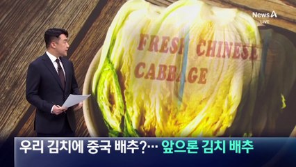 우리 김치에 중국배추?…앞으론 ‘김치 배추’로 표기