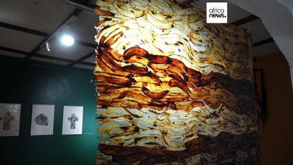 Art exhibition in Goma highlights environmental and security challenges