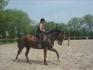 Océane, travail du galop 7