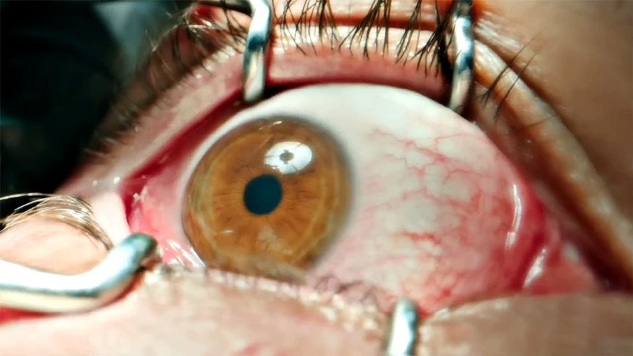 Forbidden Floor - The Home Trailer DF