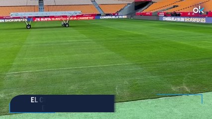 El césped de La Cartuja: el único que puede empañar la fiesta Mundial de España