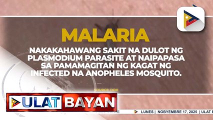 Banta ng dengue at malaria, binabantayan ng DOH ngayong malamig na ang panahon at napapadalas ang pag-ulan | ulat ni Bien Manalo
