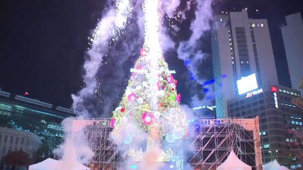 [서울] 높이 16m 서울광장 '성탄트리' 점등...내년 1월 1일까지 운영 / YTN