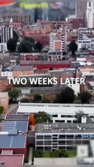 A surrogate for the Alpha King