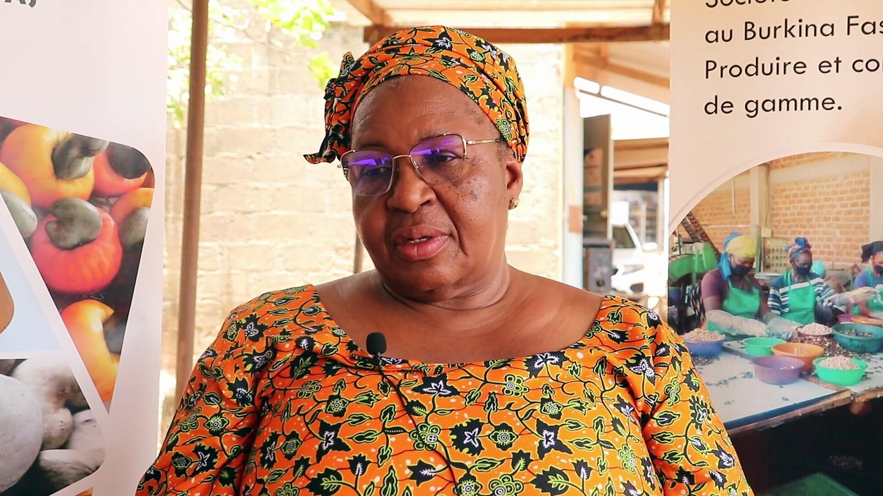 CIAB - Film documentaire retraçant l'historique de la filière anacarde du Burkina Faso