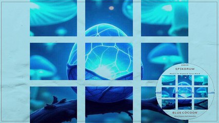 DSD339 Sp3kDrum - Blue Cocoon • Deepsessions Digital