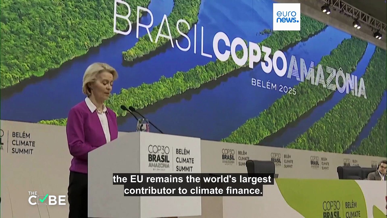 Fact check: Did Brazil chop down 100,000 trees for COP30?