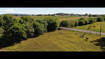 Thieves Highway | movie | 2025 | Official Trailer