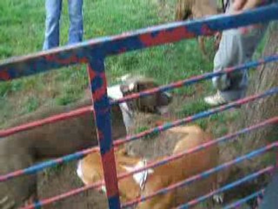 Photo 015