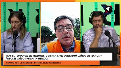 Tras el temporal en Misiones Defensa Civil confirmó daños en techos y árboles caídos pero sin herido