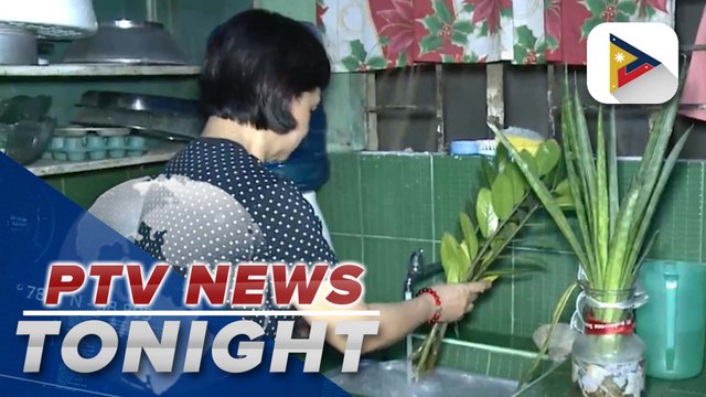 Quezon City resident fears rise in dengue and malaria cases due to mosquito increase after flooding