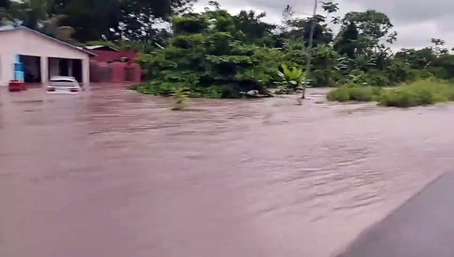 Lluvias inundan viviendas y afectan cultivos en Villa Tunari 