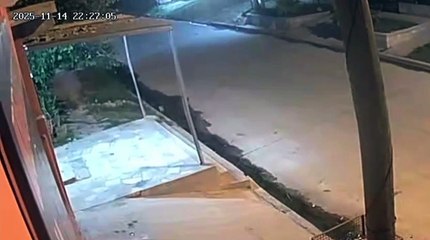 Mató de 6 balazos al novio de su ex al frente de su propia hija