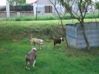 Photo 014