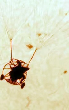 Making of de la foto de Andrew McCarthy