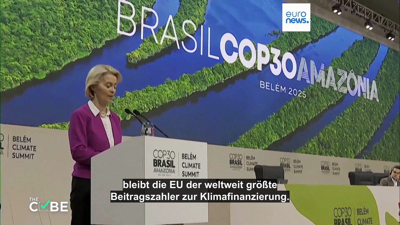 Hat Brasilien für die COP30-Klimakonferenz 100.000 Bäume abgeholzt?