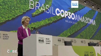 Tényellenőrzés: Brazíliában tényleg kivágtak 100 ezer fát a COP30 miatt?