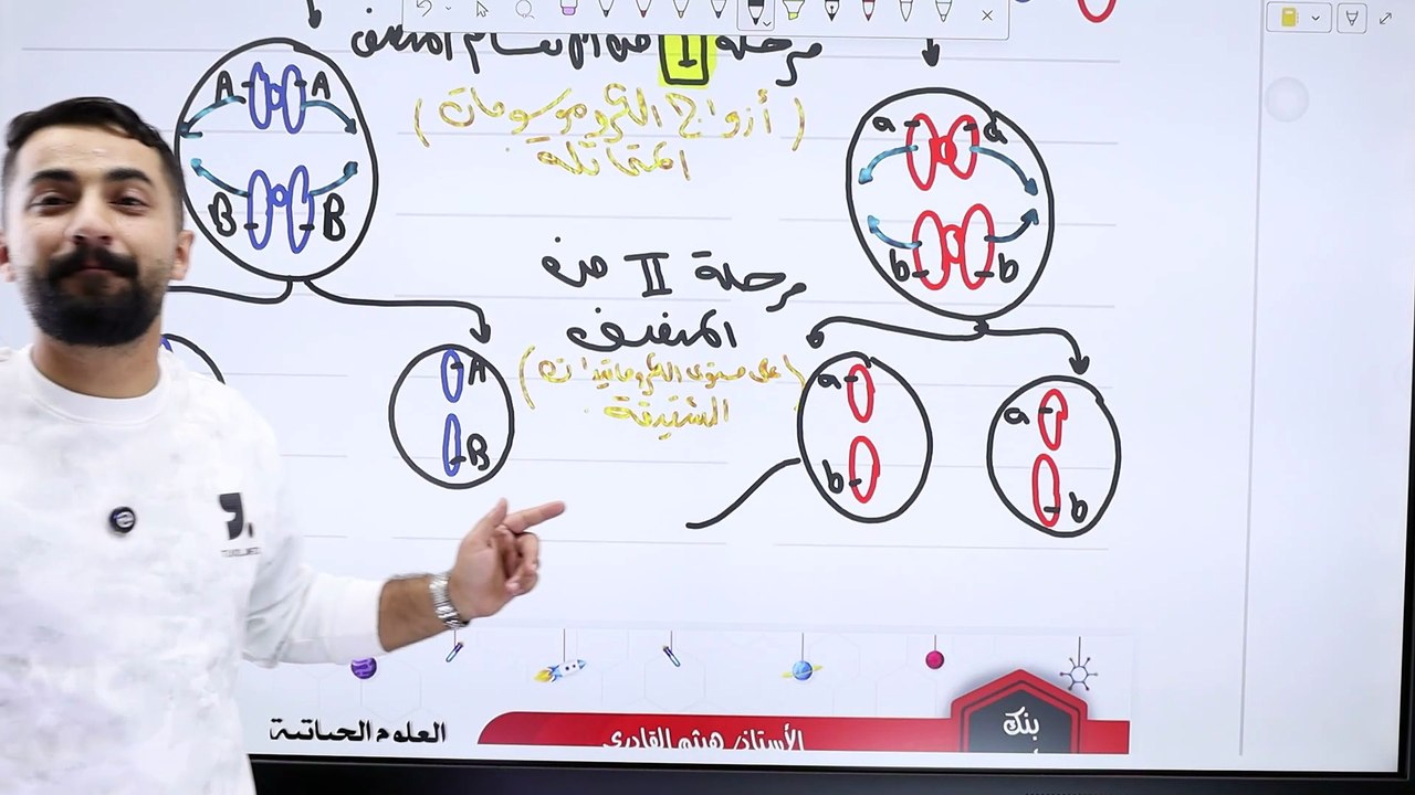 التوع الجيني